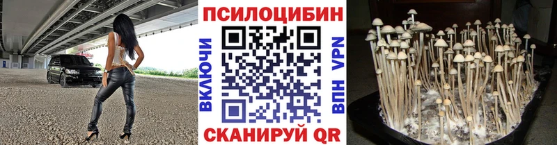 shop как зайти  Заполярный  Псилоцибиновые грибы мухоморы  купить  