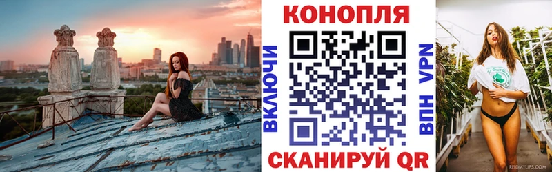 что такое наркотик  Заполярный  Канабис ГИДРОПОН 